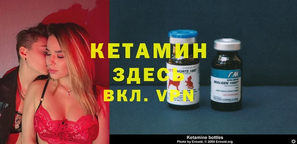 сатива Балахна
