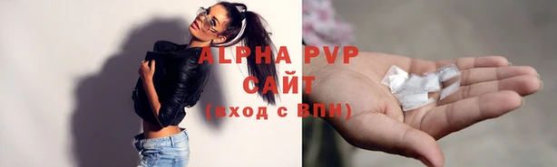 эйфоретик Аркадак