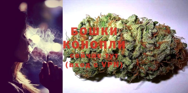 сатива Балахна