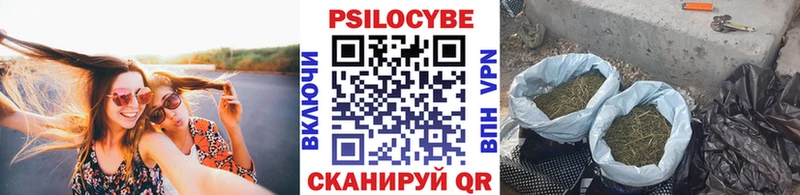 Галлюциногенные грибы Psilocybe  Черноголовка 