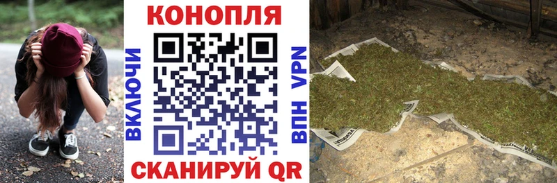 Конопля марихуана  Черноголовка 